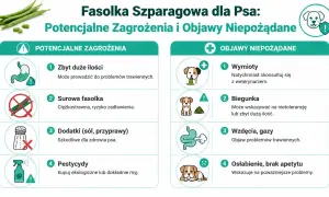 Czy pies może jeść fasolkę szparagową? Infografika ostrzega przed zagrożeniami: zbyt duża ilość, surowa fasolka, dodatki, pestycydy. Objawy: wymioty, biegunka, wzdęcia, osłabienie.