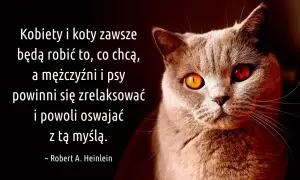 Kot z ognistymi oczami i cytaty o kotach: "Kobiety i koty zawsze będą robić to, co chcą, a mężczyźni i psy powinni się zrelaksować i powoli oswajać z tą myślą.