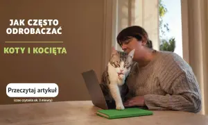 Kiedy odrobaczać koty? Kluczowe informacje dla zdrowia pupila