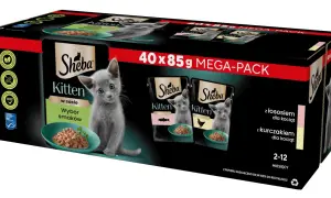 Opakowanie karmy Sheba Kitten z uroczym kotkiem. Czy Sheba to dobra karma? Ten wybór smaków z łososiem i kurczakiem dla kociąt może być odpowiedzią.