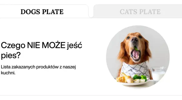 Złoty retriever z brokułem w pysku, obok talerz z jedzeniem i mlekiem. Temat: czego nie może jeść pies.