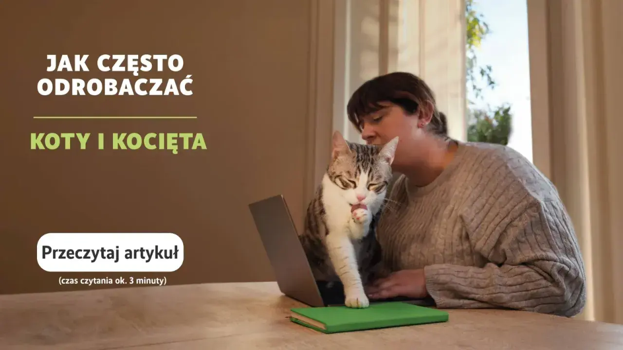 Kiedy odrobaczać koty? Kluczowe informacje dla zdrowia pupila
