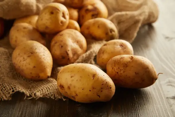 Ziemniaki na worku jutowym. Czy pies może jeść ziemniaki? Surowe lub ugotowane ziemniaki są bezpieczne dla psów w małych ilościach.