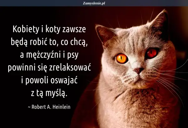 Kot z ognistymi oczami i cytaty o kotach: "Kobiety i koty zawsze będą robić to, co chcą, a mężczyźni i psy powinni się zrelaksować i powoli oswajać z tą myślą.
